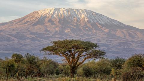 Kilimanjaro - Lemosho Route